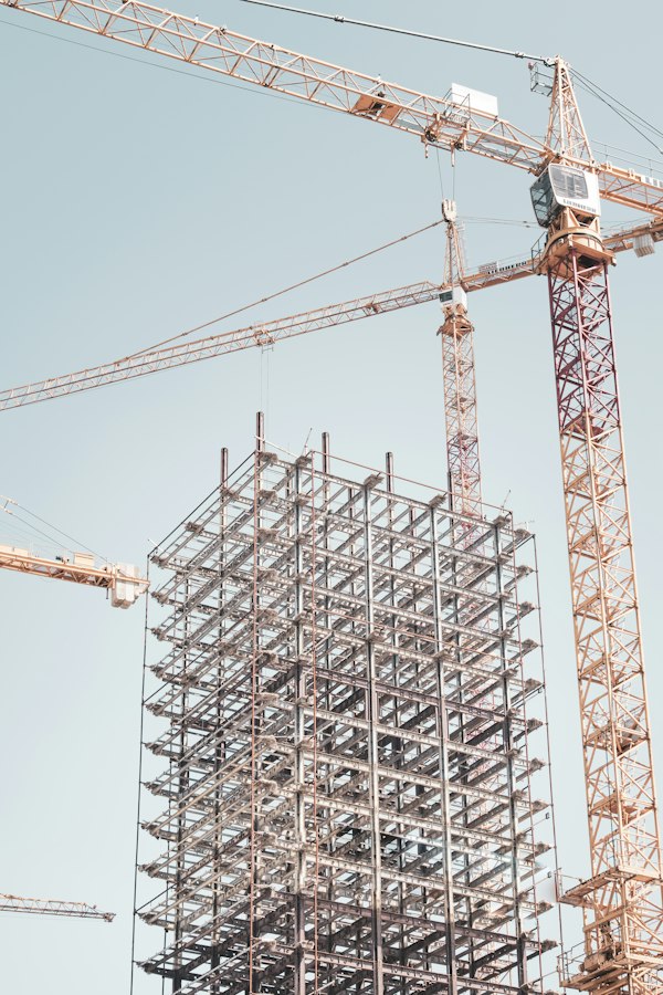 A steel building frame rising beside a tower crane in daylight